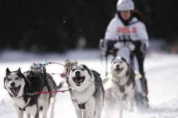 Lenzerheide 2013